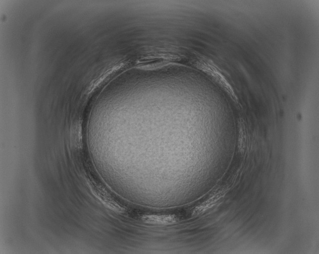 X0000082720251200702091820