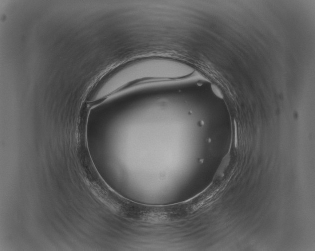 X0000082720252200702091820