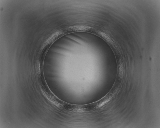 X0000082720254200702091820