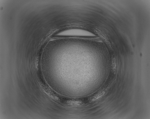 X0000082720255200702091820