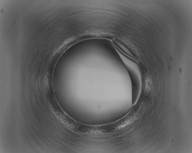 X0000082720256200702091820