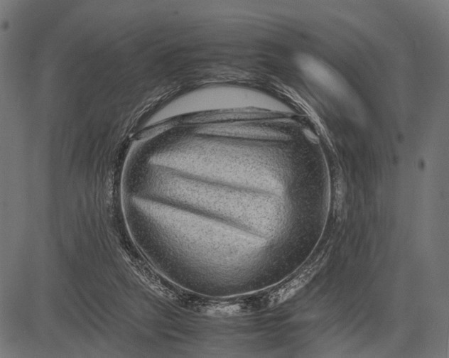 X0000082720257200702091820