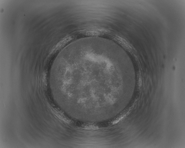 X0000082720258200702091820