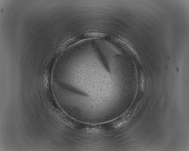 X0000082720259200702091820