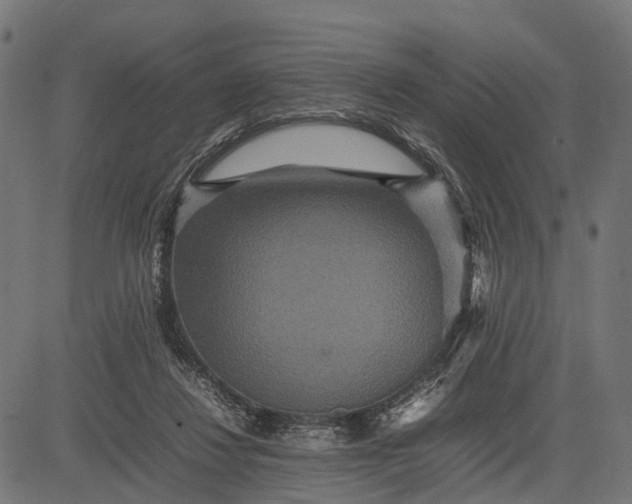 X0000082720260200702091820