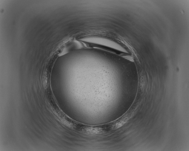 X0000082720261200702091820