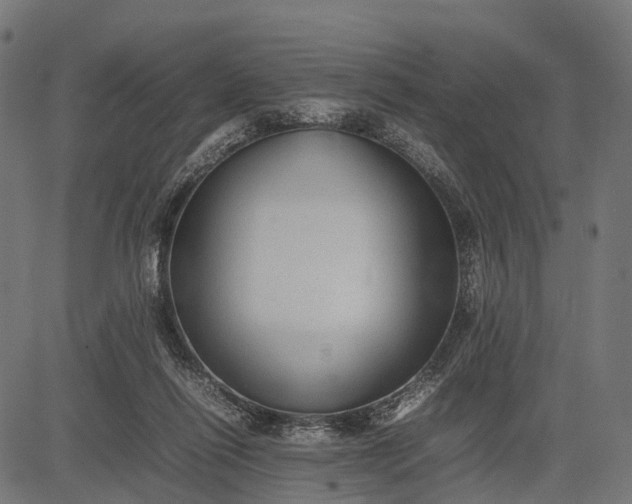 X0000082720262200702091820