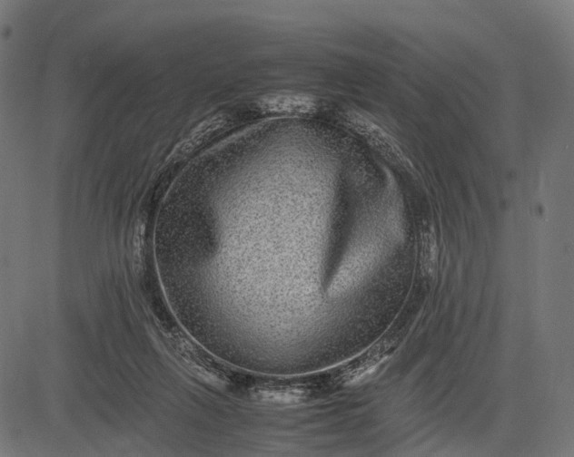 X0000082720263200702091820