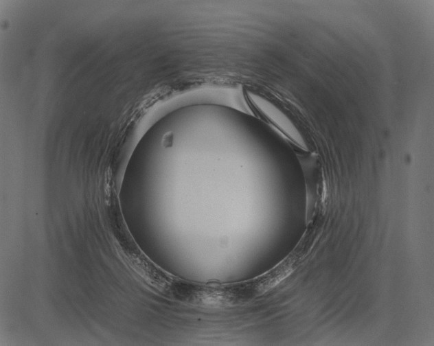 X0000082720264200702091820