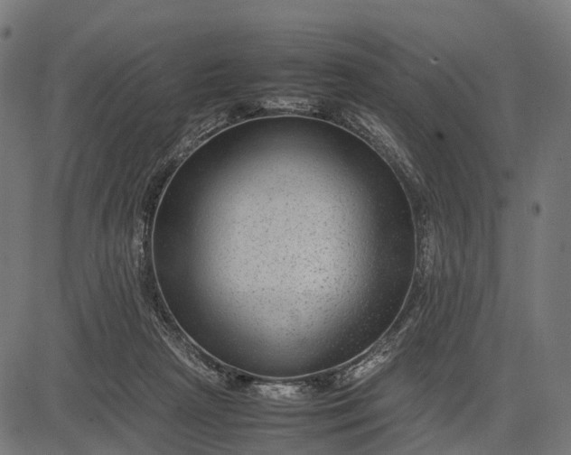 X0000082720265200702091820