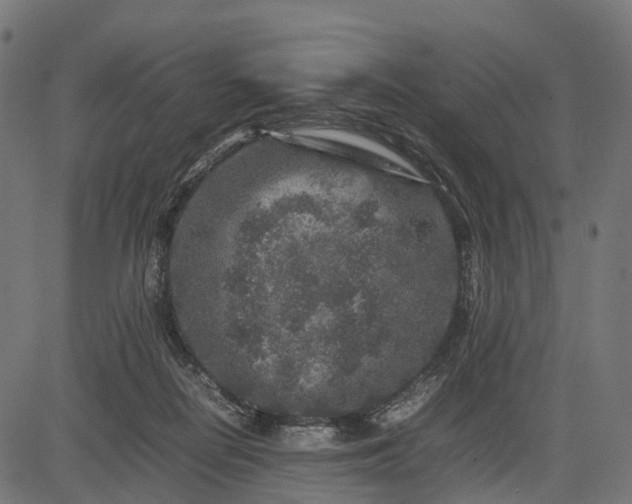 X0000082720266200702091820