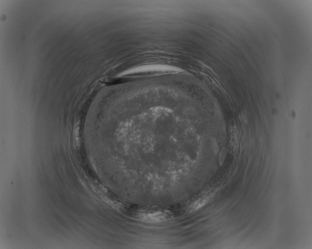 X0000082720267200702091820