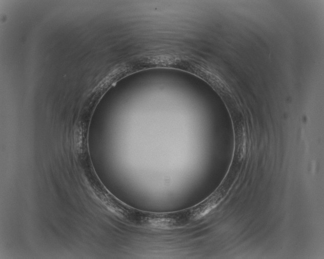 X0000082720268200702091820