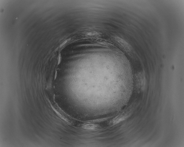 X0000082720269200702091820