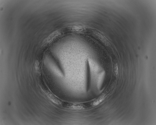 X0000082720270200702091820