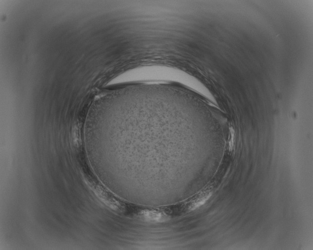 X0000082720272200702091820