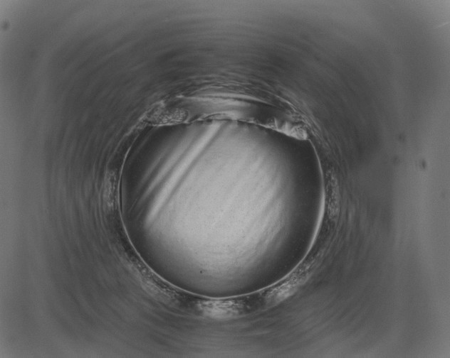 X0000082720273200702091820