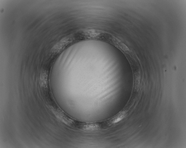 X0000082720274200702091820