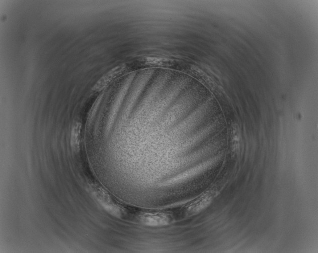 X0000082720275200702091820