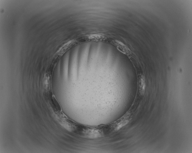 X0000082720276200702091820