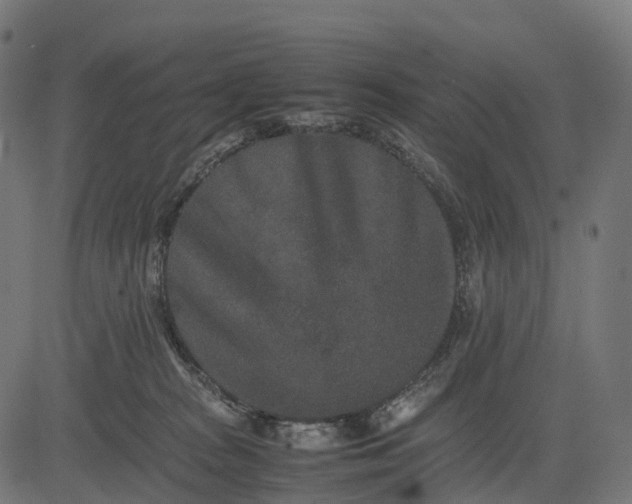 X0000082720277200702091820