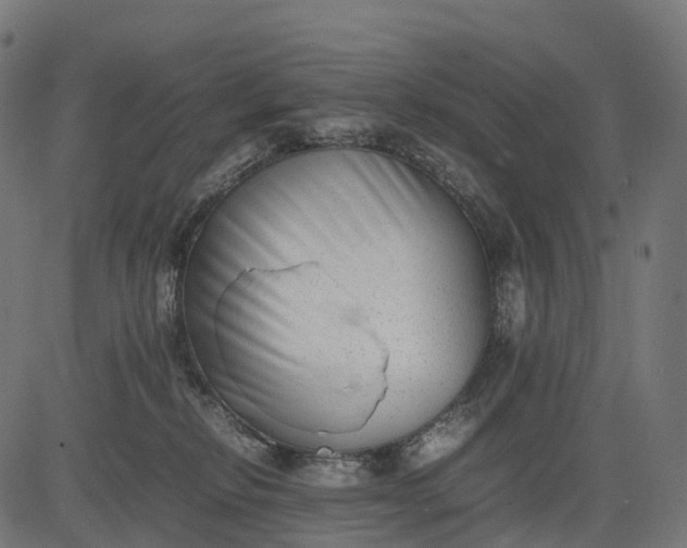 X0000082720278200702091820