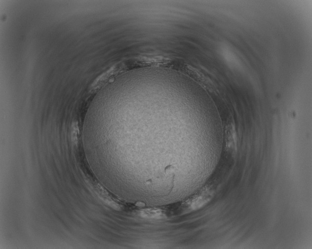 X0000082720279200702091820