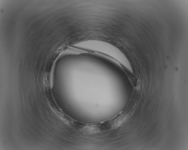 X0000082720280200702091820