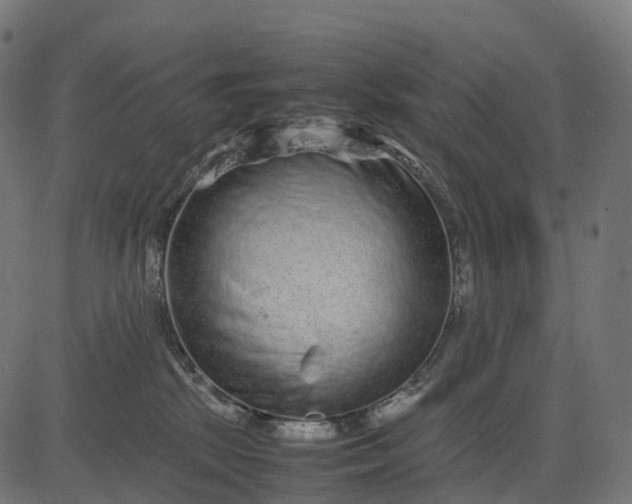 X0000082720281200702091820