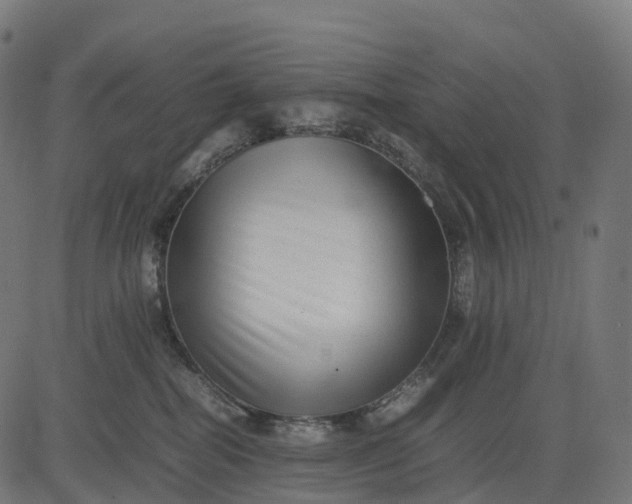 X0000082720282200702091820