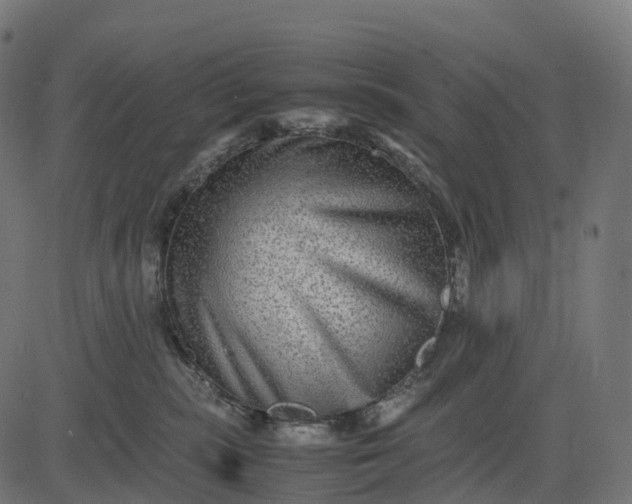 X0000082720283200702091820