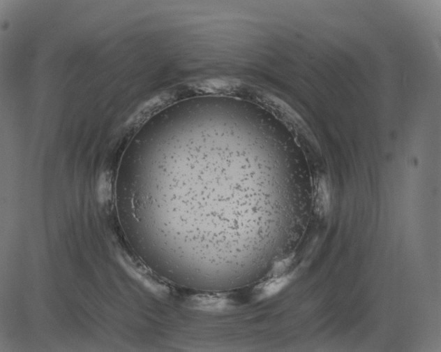 X0000082720284200702091820