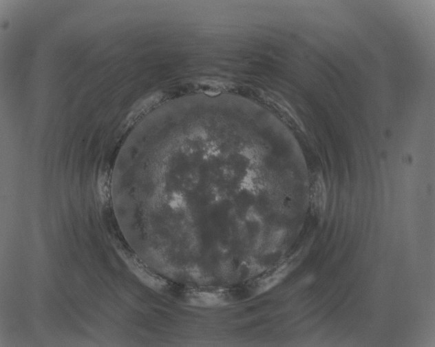 X0000082720285200702091820