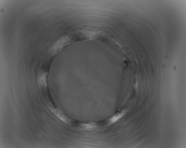 X0000082720286200702091820