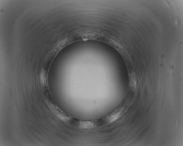 X0000082720287200702091820