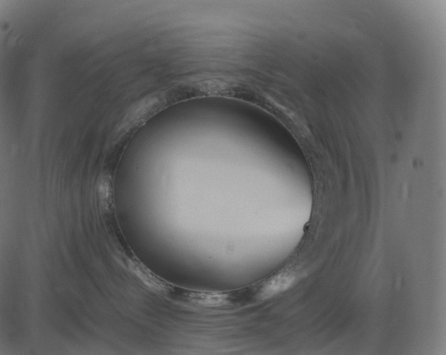 X0000082720288200702091820