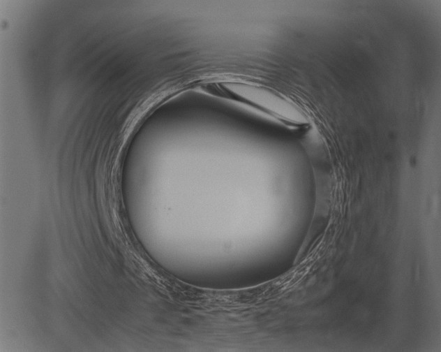 X0000082720289200702091819