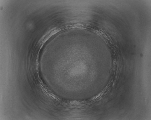 X0000082720290200702091819