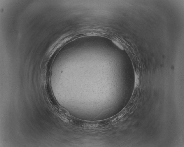 X0000082720291200702091819