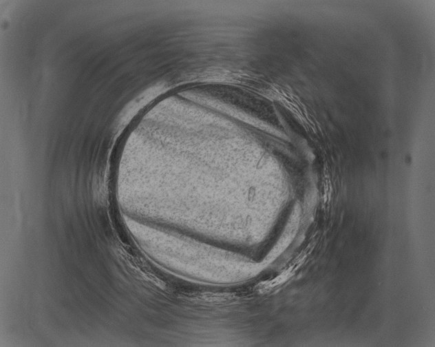 X0000082720292200702091819