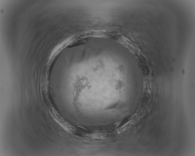 X0000082720293200702091819