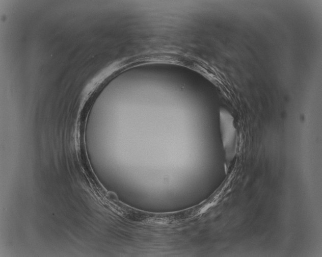 X0000082720294200702091819