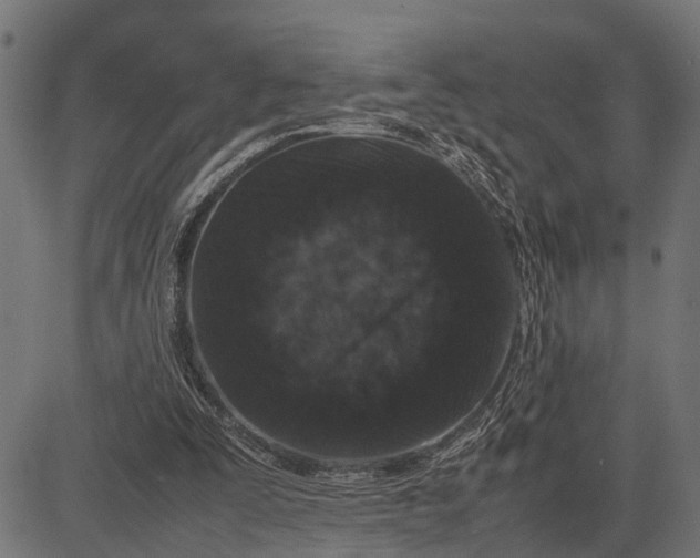 X0000082720295200702091819