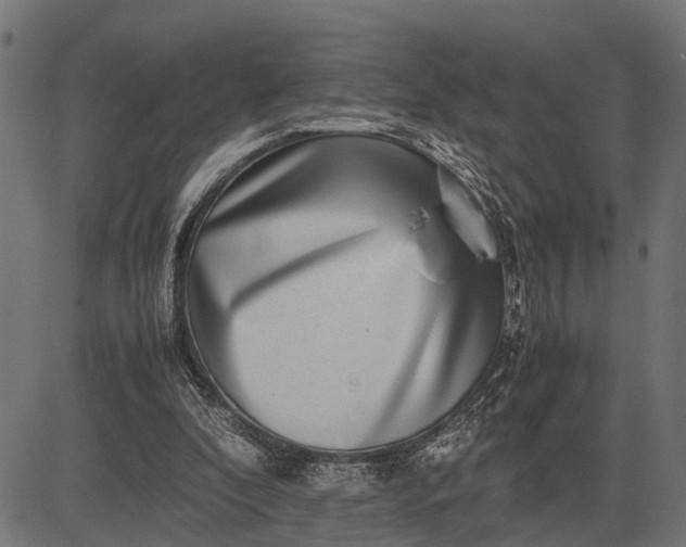 X0000082720296200702091819