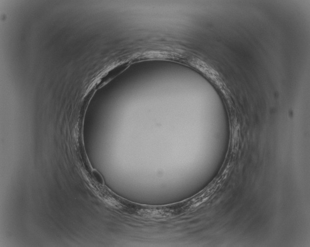 X0000082720297200702091819