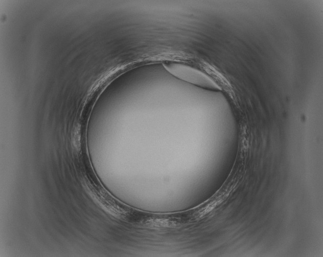 X0000082720298200702091819