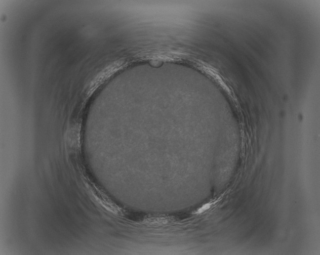 X0000082720299200702091819