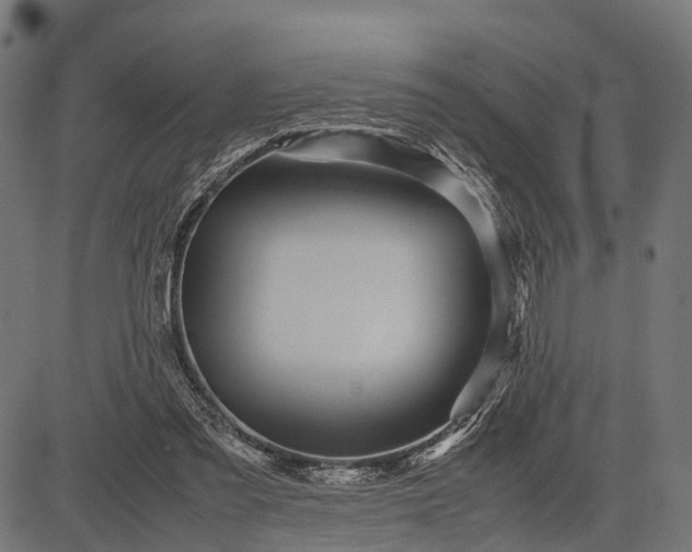 X0000082720301200702091819