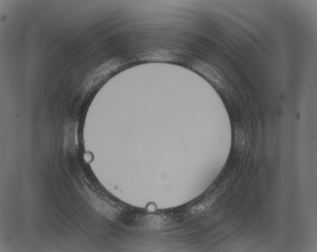 X0000082720302200702091819