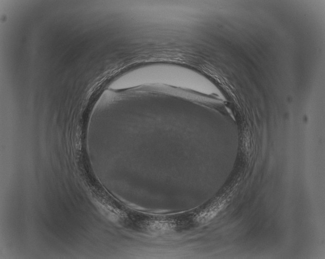 X0000082720303200702091819